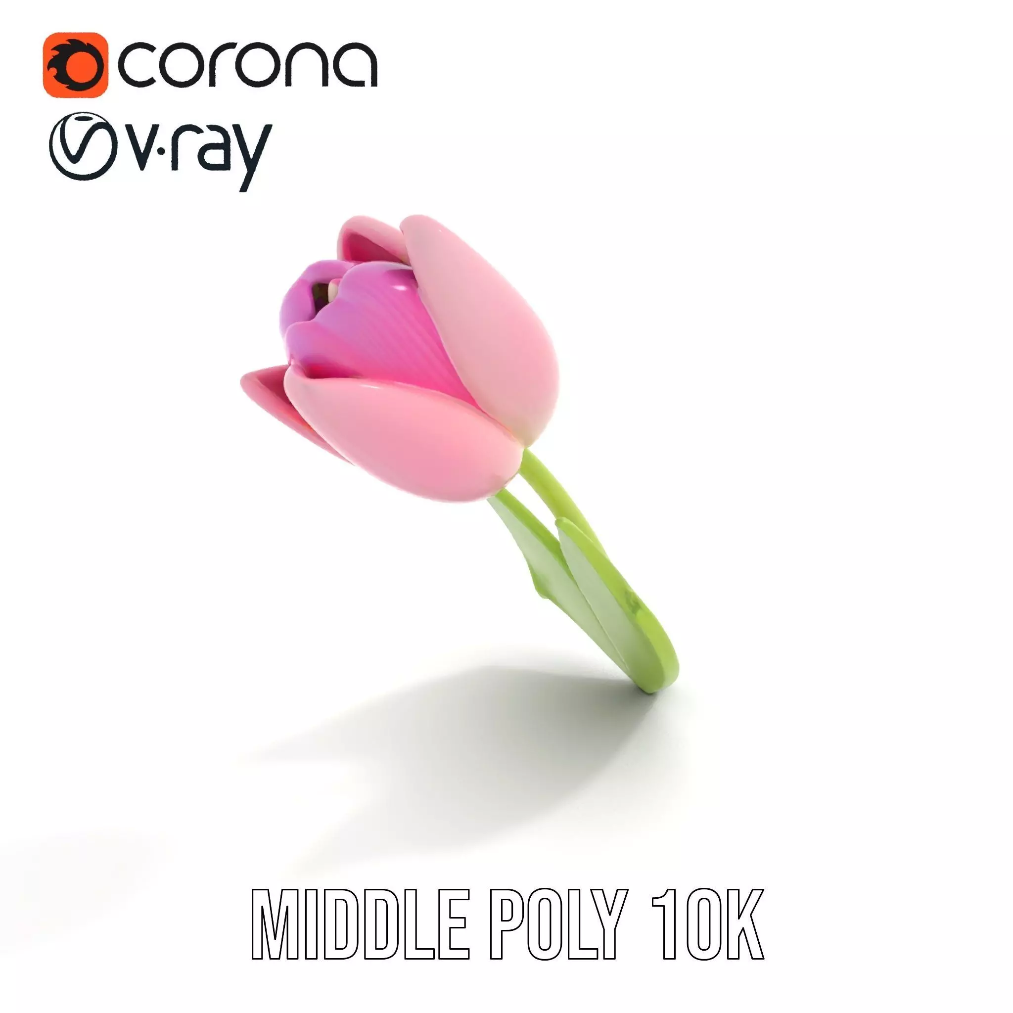 Pink Tulip model pack Low-poly 3D model_17