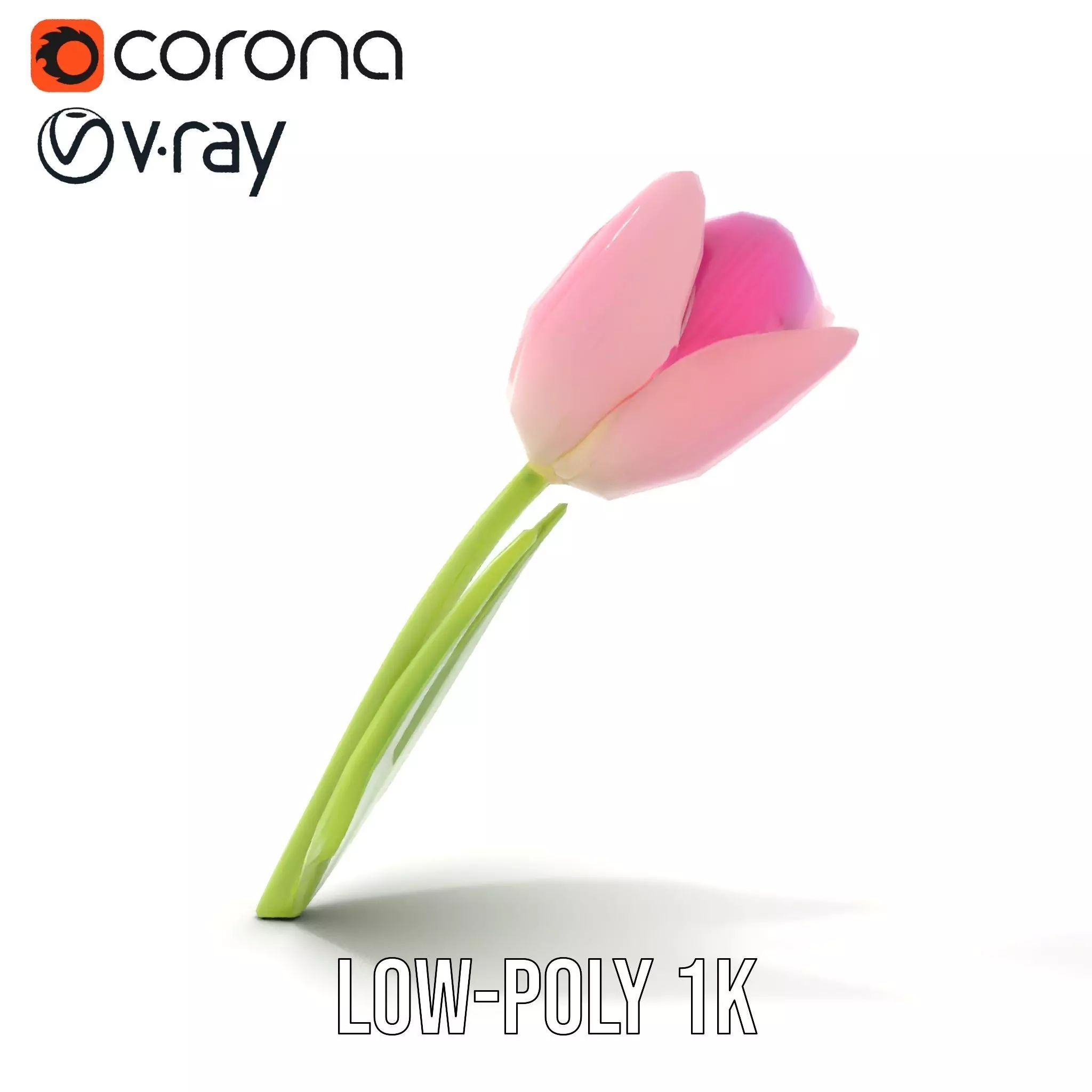 Pink Tulip model pack Low-poly 3D model_13
