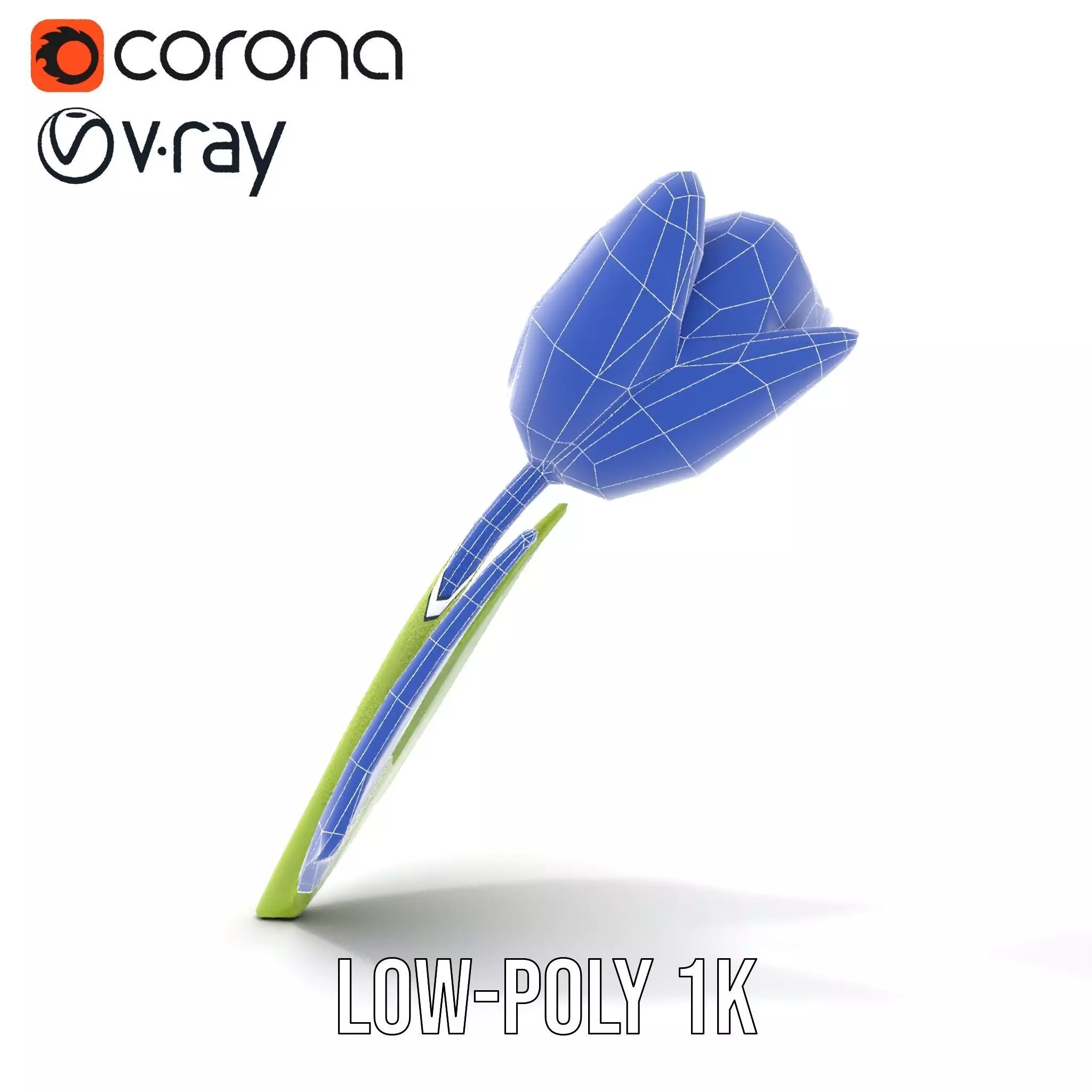 Pink Tulip model pack Low-poly 3D model_21