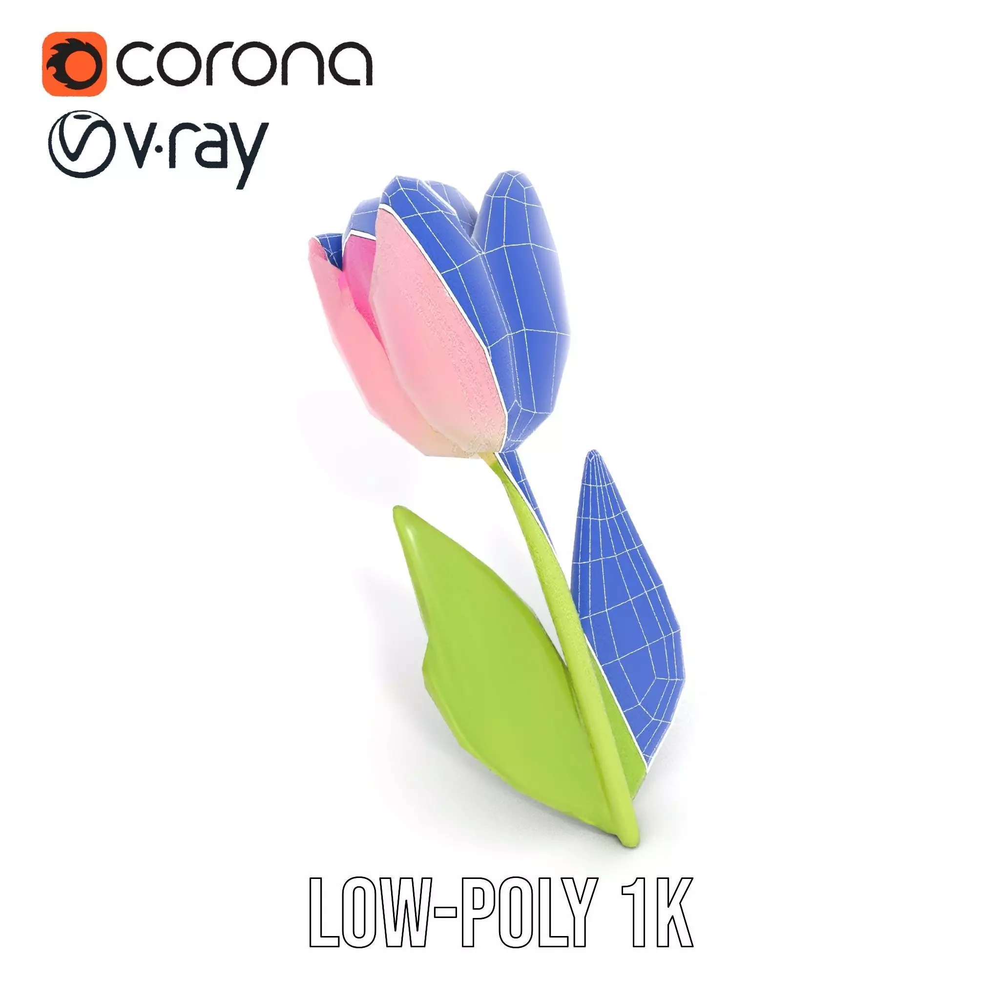 Pink Tulip model pack Low-poly 3D model_26