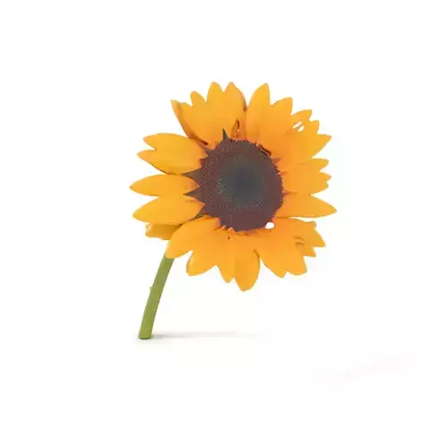 Vibrant Sunflower model pack