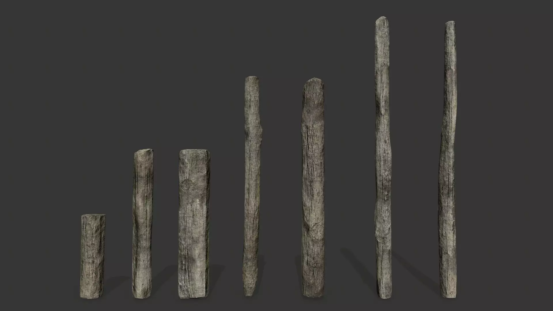 old woods Low-poly 3D model_12
