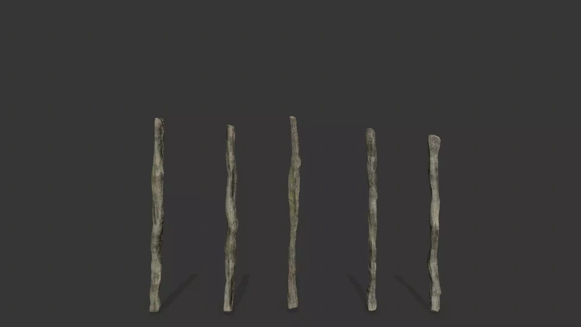 old woods Low-poly 3D model_5