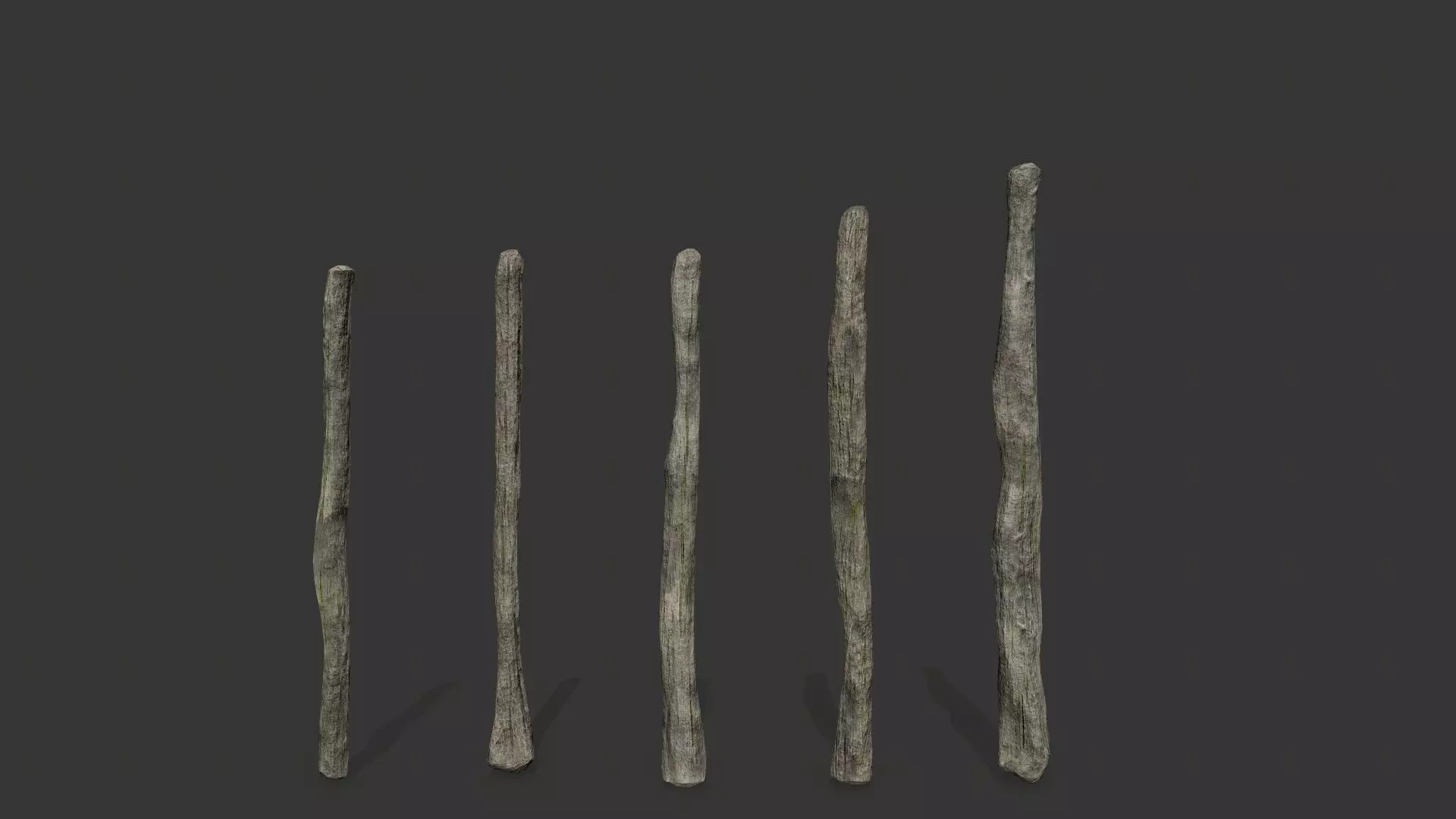 old woods Low-poly 3D model_9