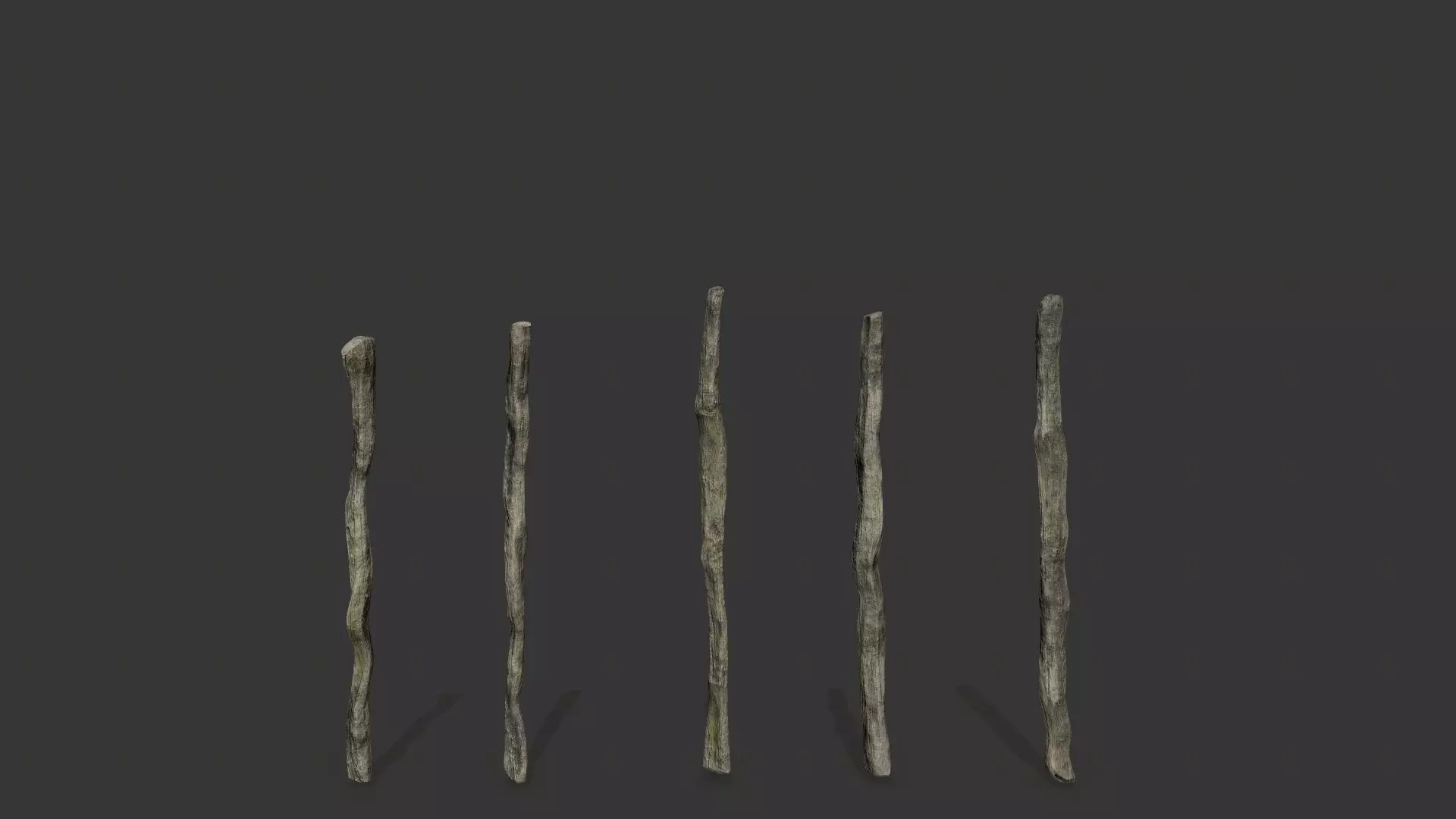 old woods Low-poly 3D model_11