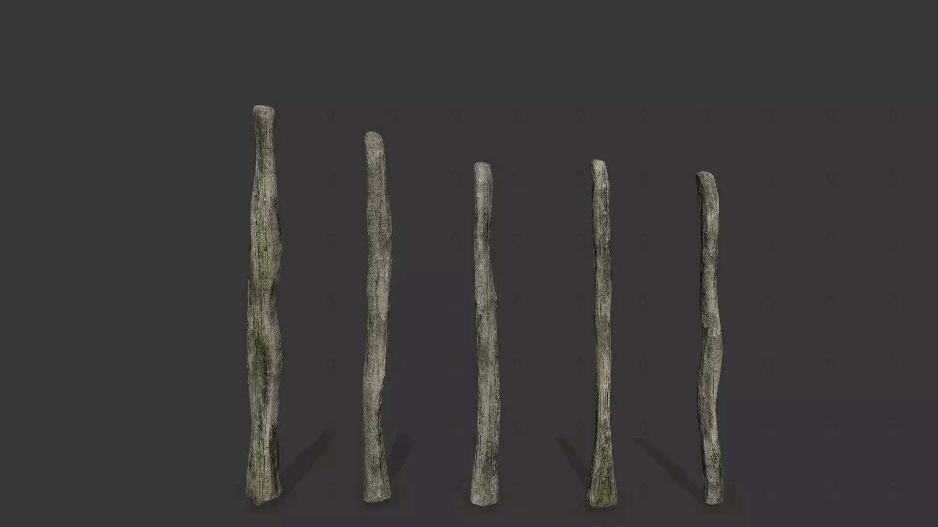 old woods Low-poly 3D model_3
