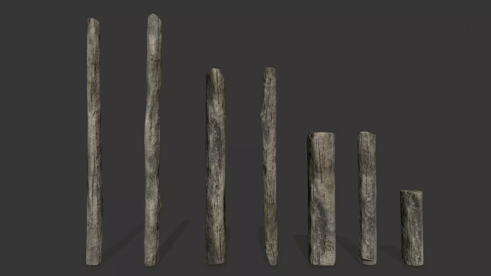 old woods Low-poly 3D model_1