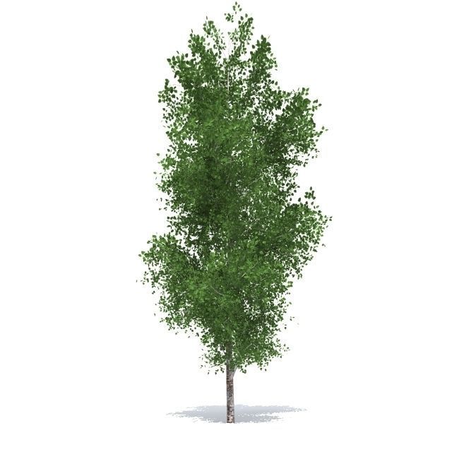 trees vol 5 3D model_9