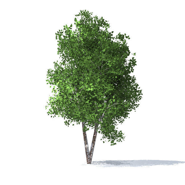 trees vol 5 3D model_6