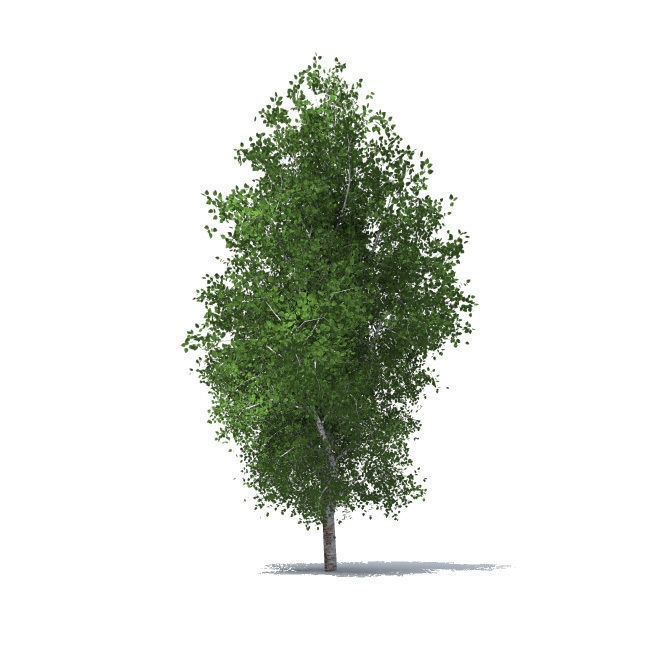 trees vol 5 3D model_10