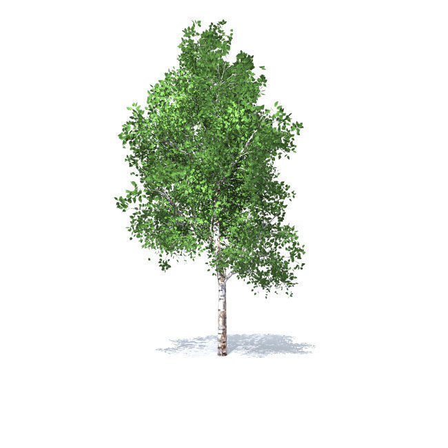 trees vol 5 3D model_7