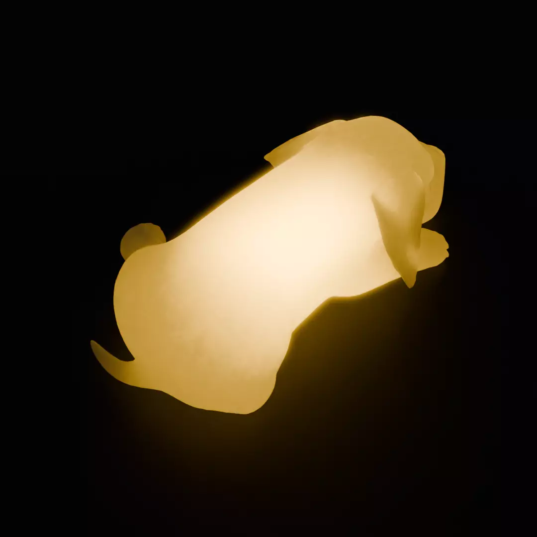 Indirect lighting for puppies 3D model_5