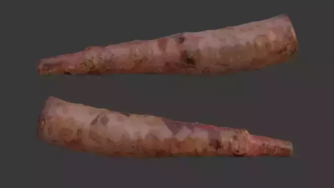  Uprooted Tree Root Scan