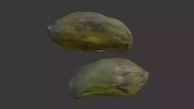  Scanned Papaya Fruit