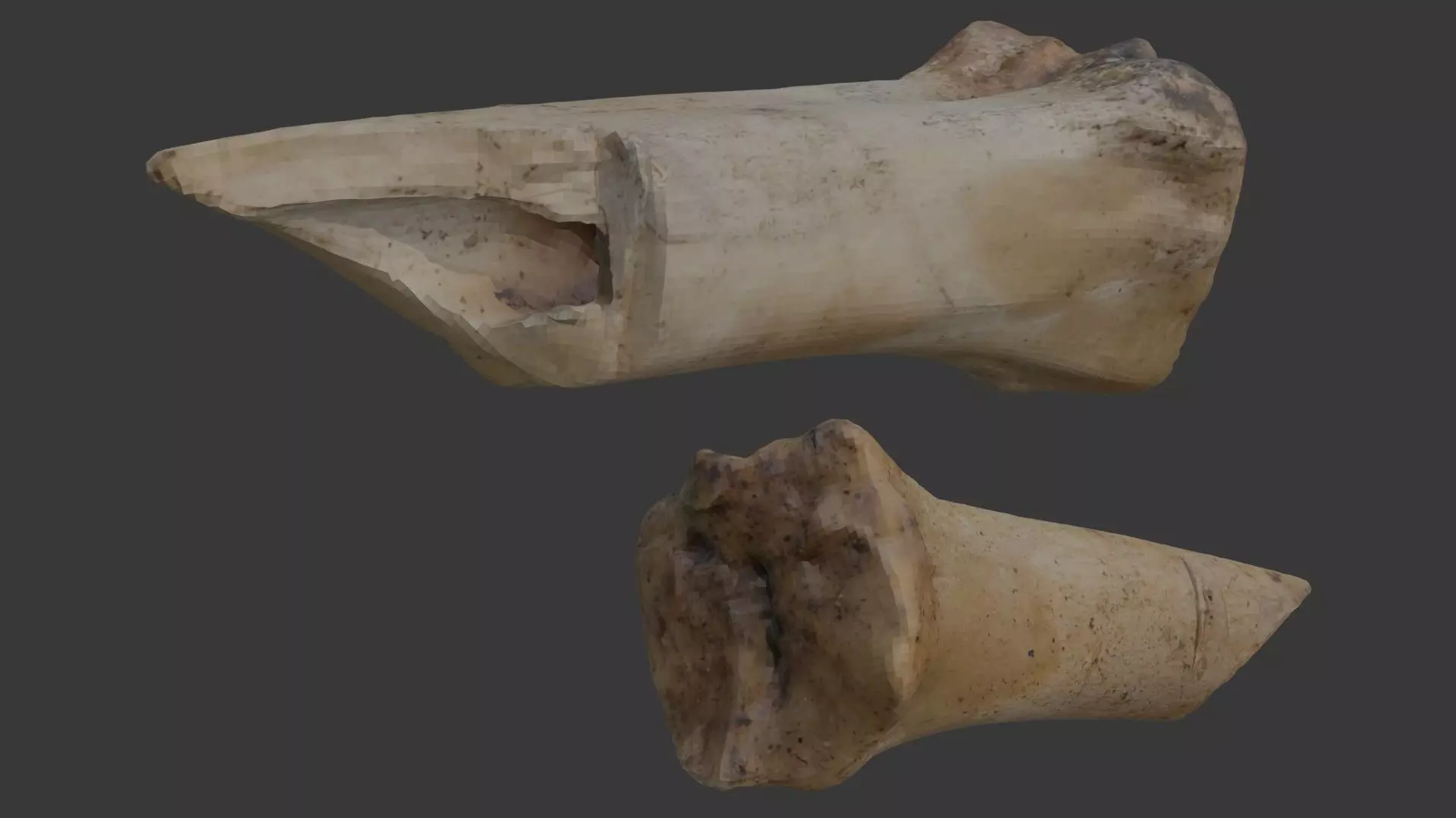Animal Bone Fragment Scan Low-poly 3D model