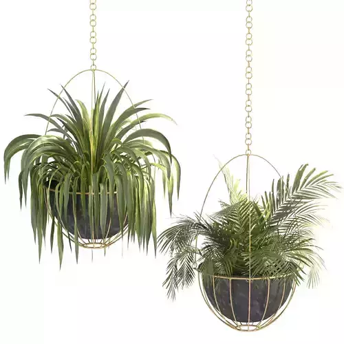 Metal Hanging Plants 05