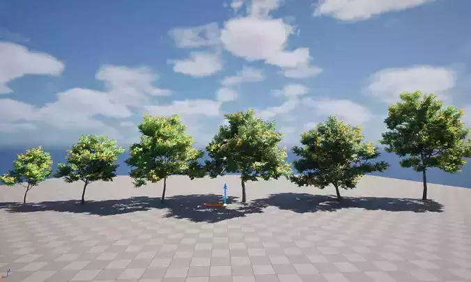 E5 Wind Plants - Bulnesia arborea - verawood