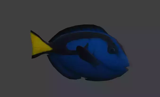 low poly blue tang 