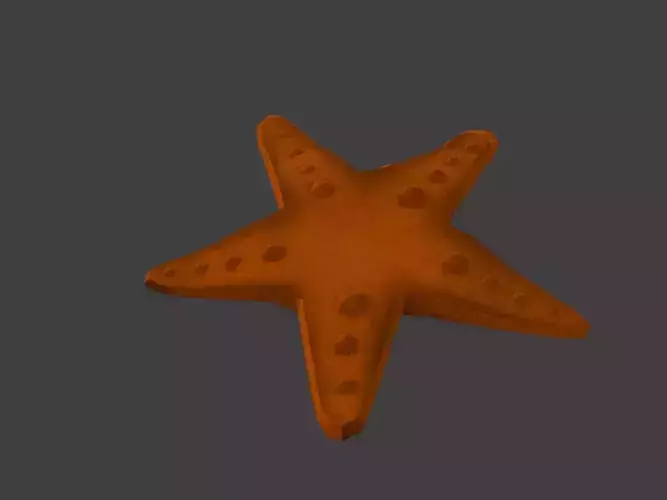 low poly star fish with multiple different colour textures 