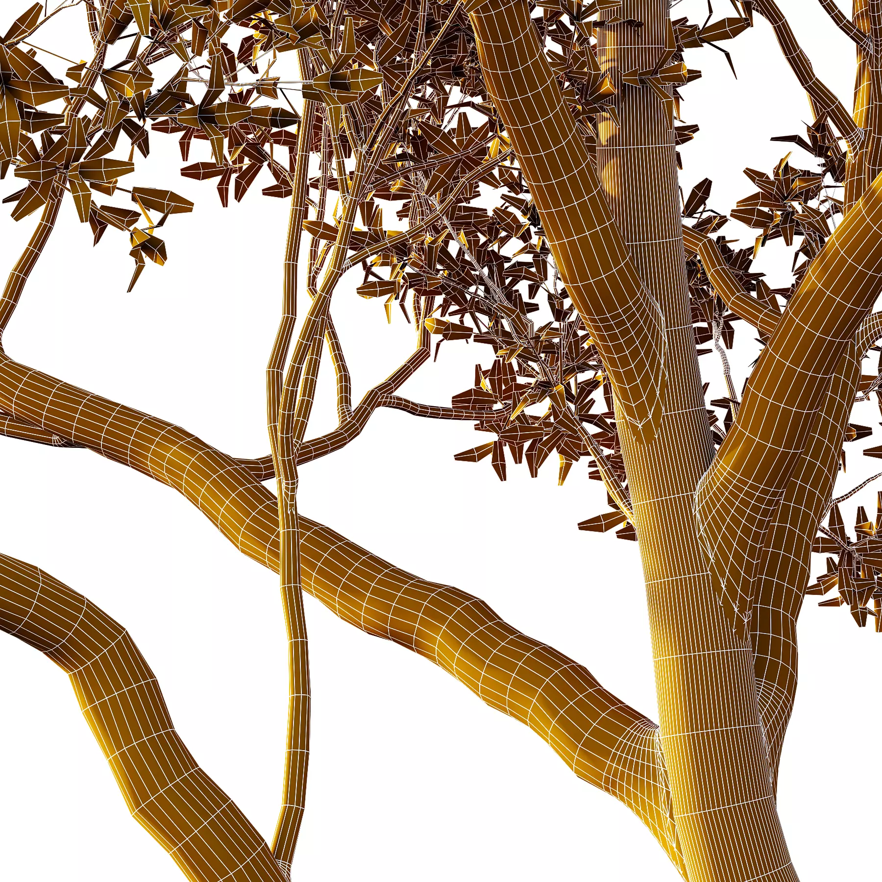 Different Trees 24 3D model_6
