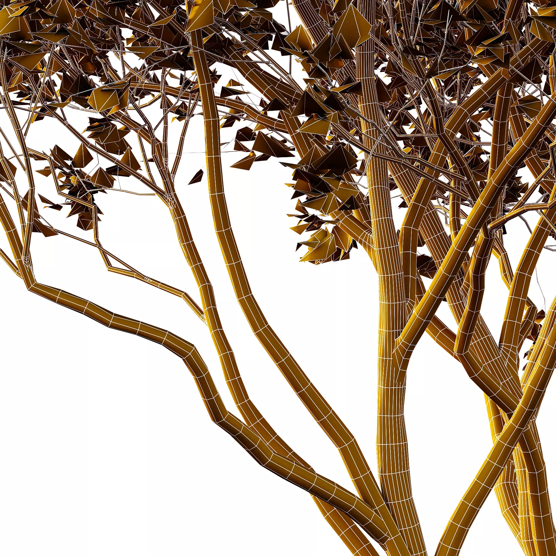 Different Trees 28 3D model_5