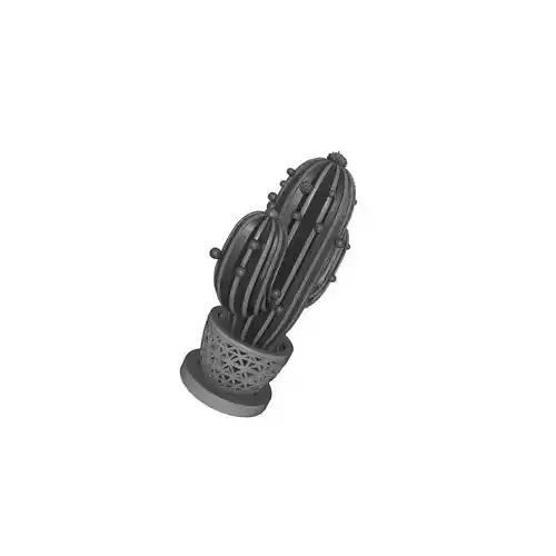 Realistic Cactus 3D Print Model for Home Decor Display