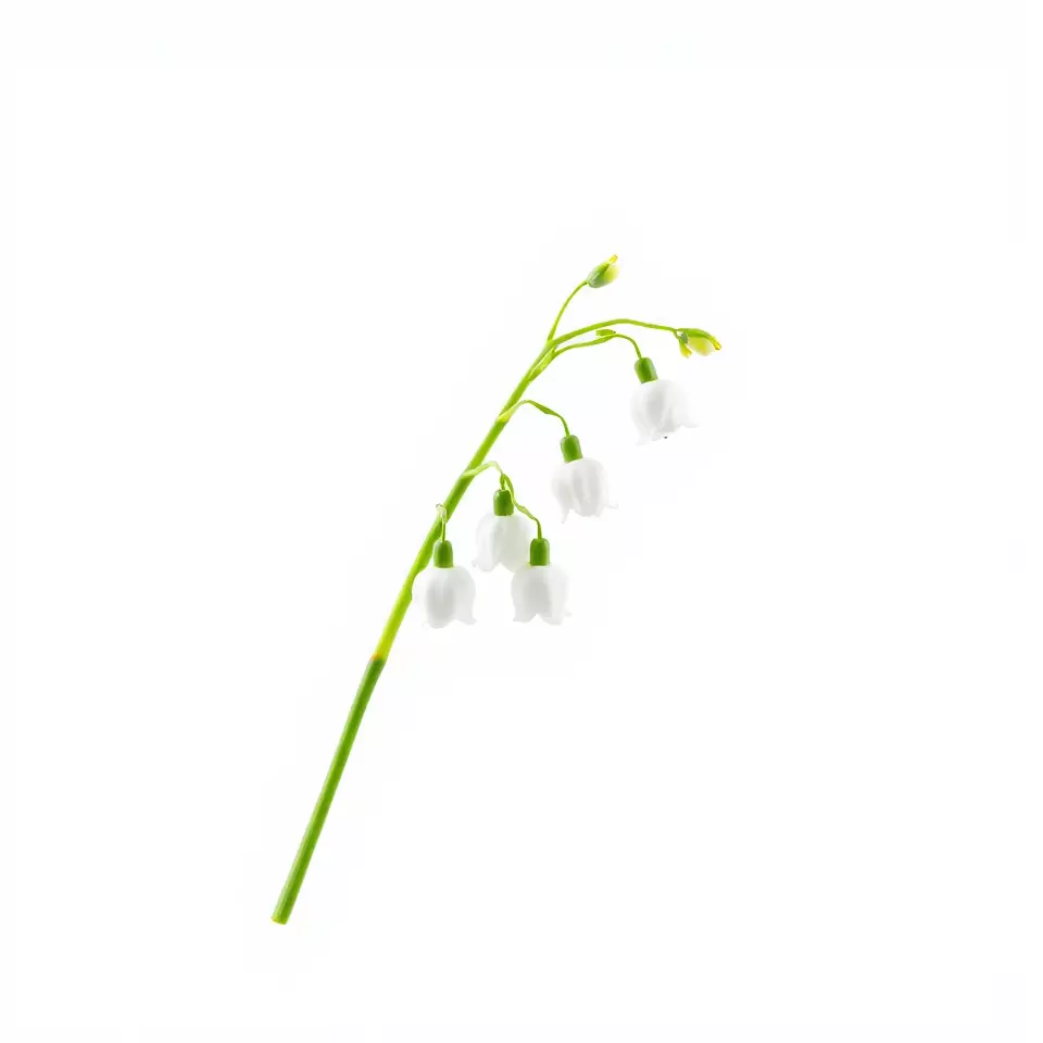 White Lily Flower model pack Low-poly 3D model_3