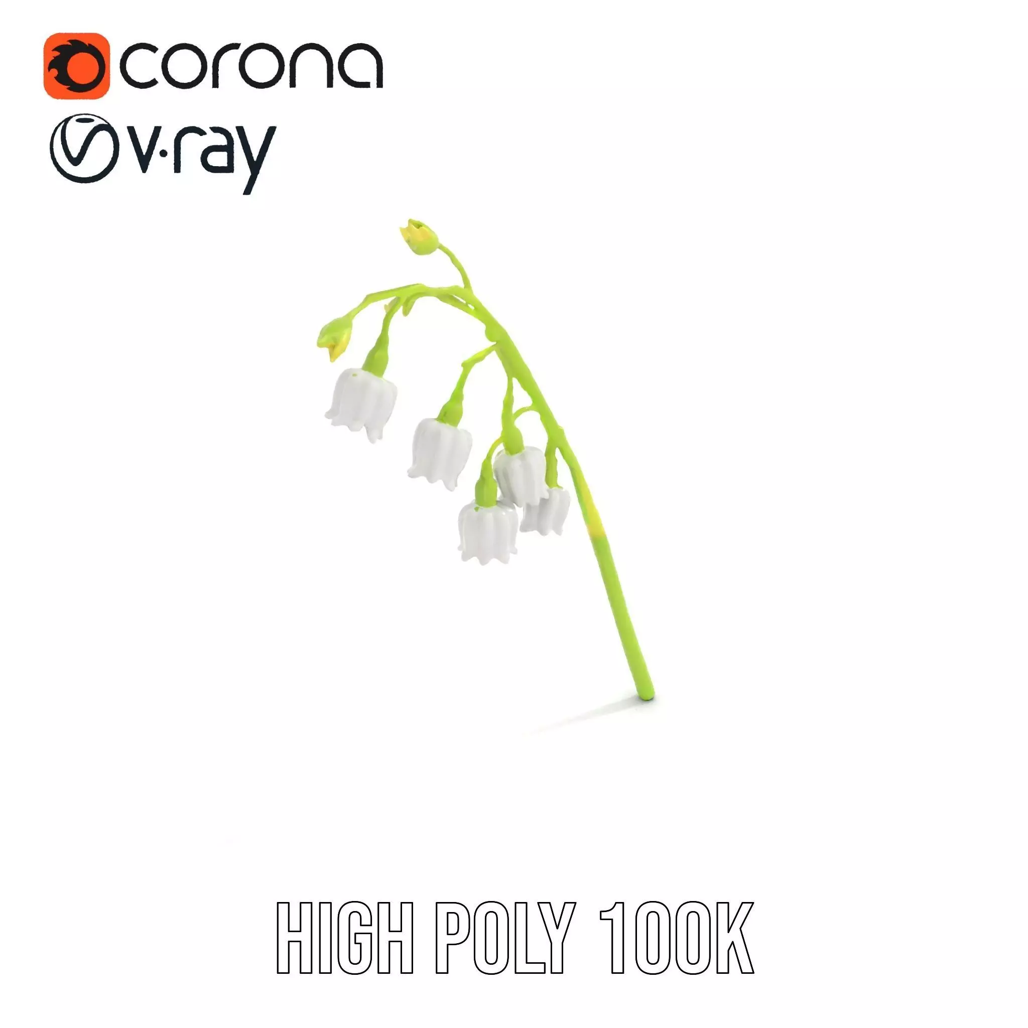 White Lily Flower model pack Low-poly 3D model_18