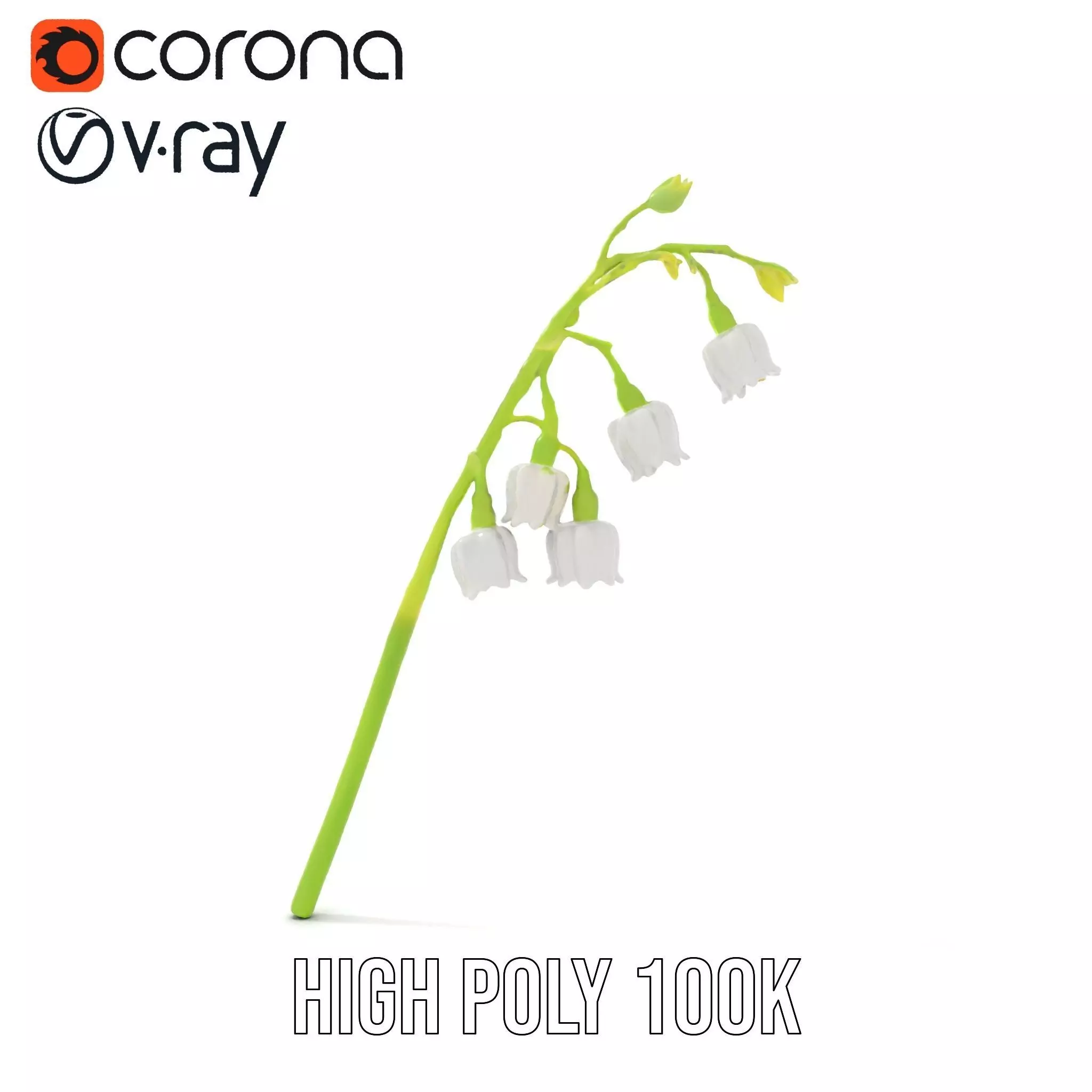 White Lily Flower model pack Low-poly 3D model_33