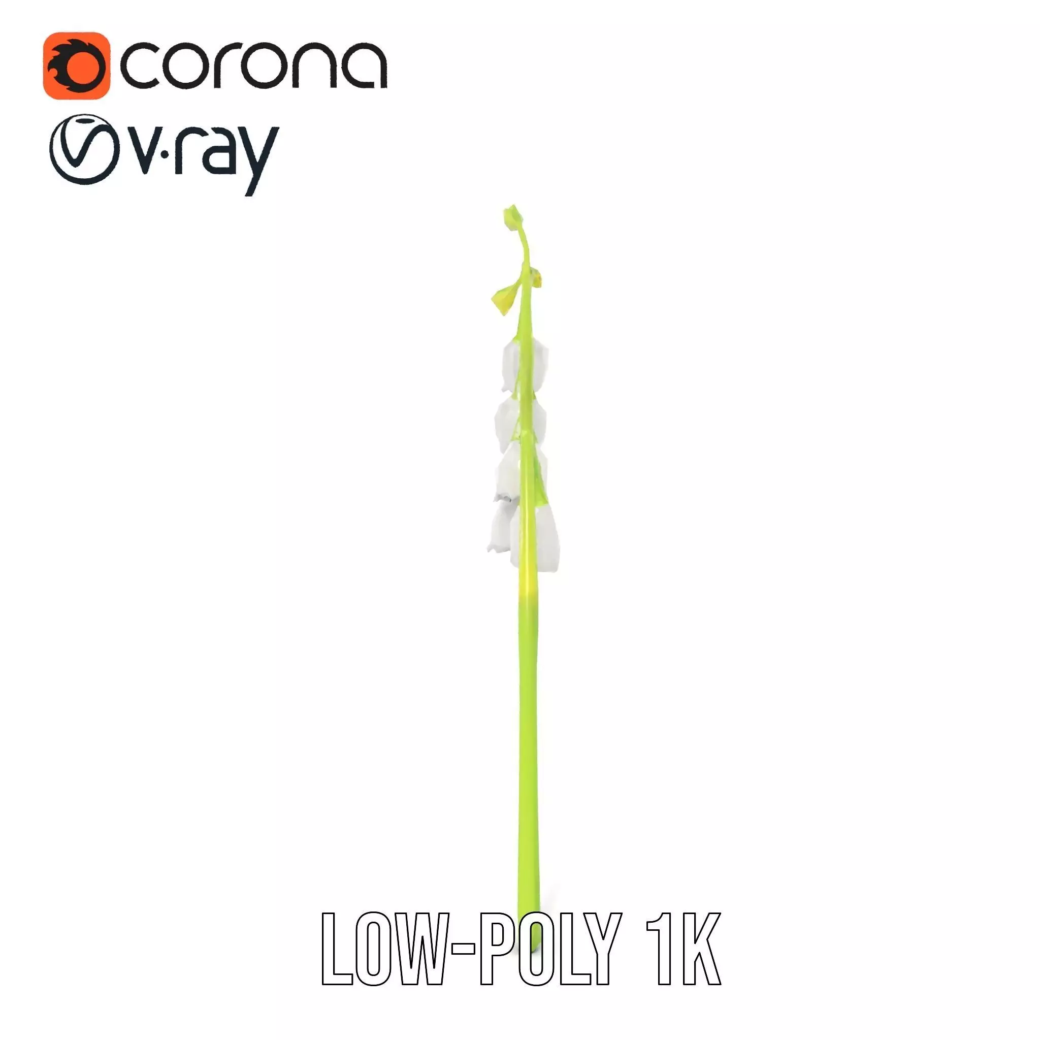 White Lily Flower model pack Low-poly 3D model_12