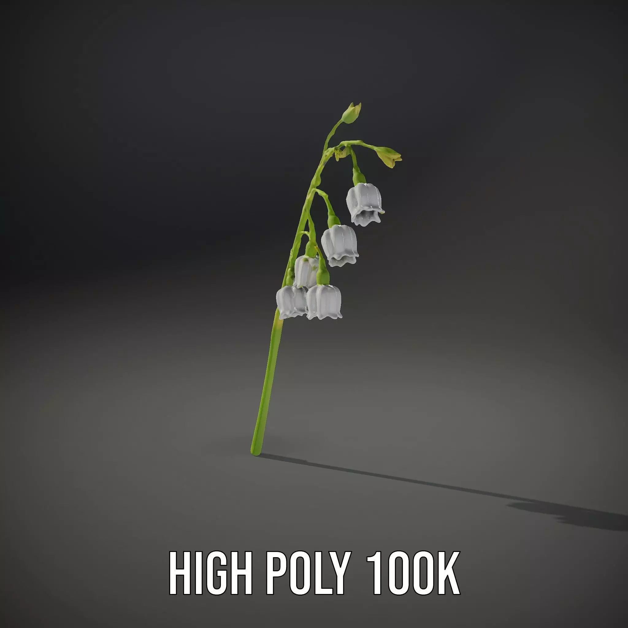 White Lily Flower model pack Low-poly 3D model_13