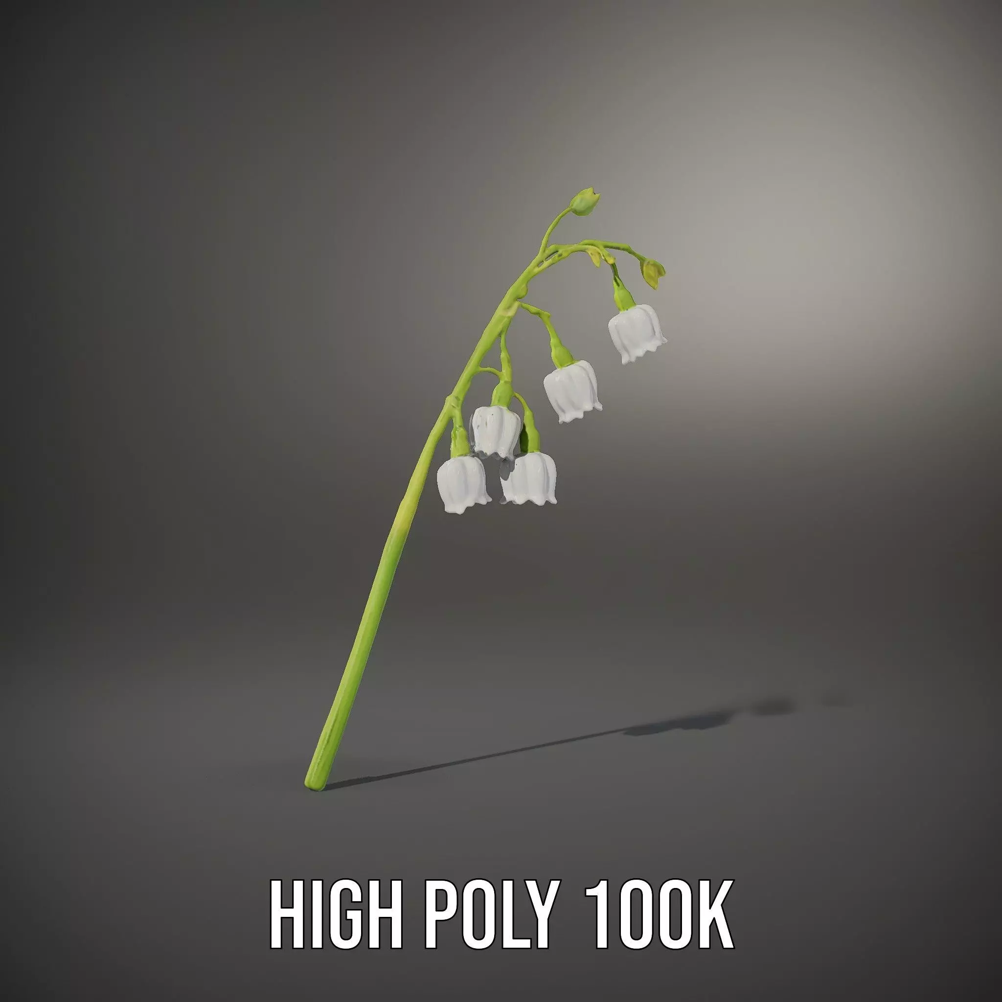 White Lily Flower model pack Low-poly 3D model_10