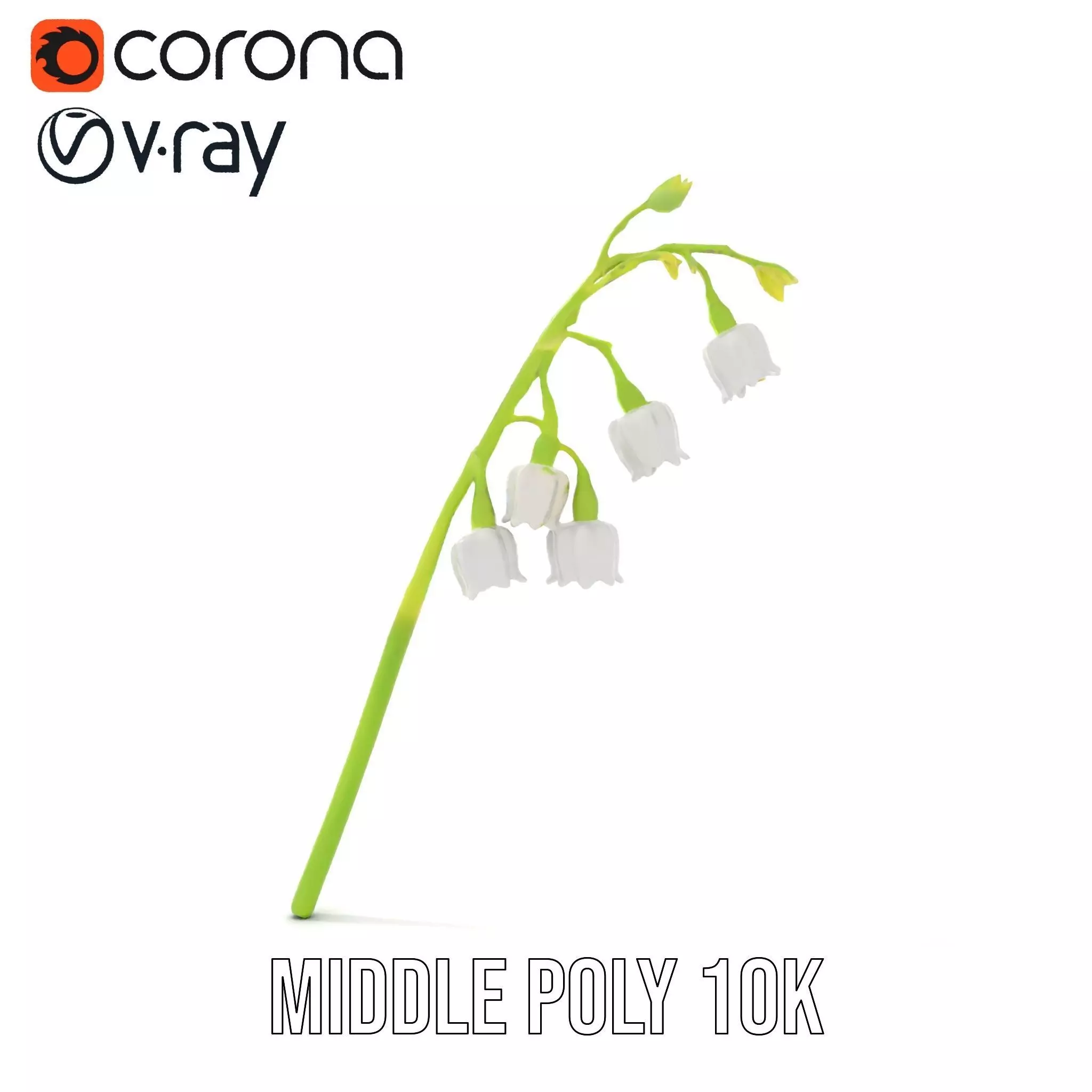 White Lily Flower model pack Low-poly 3D model_11