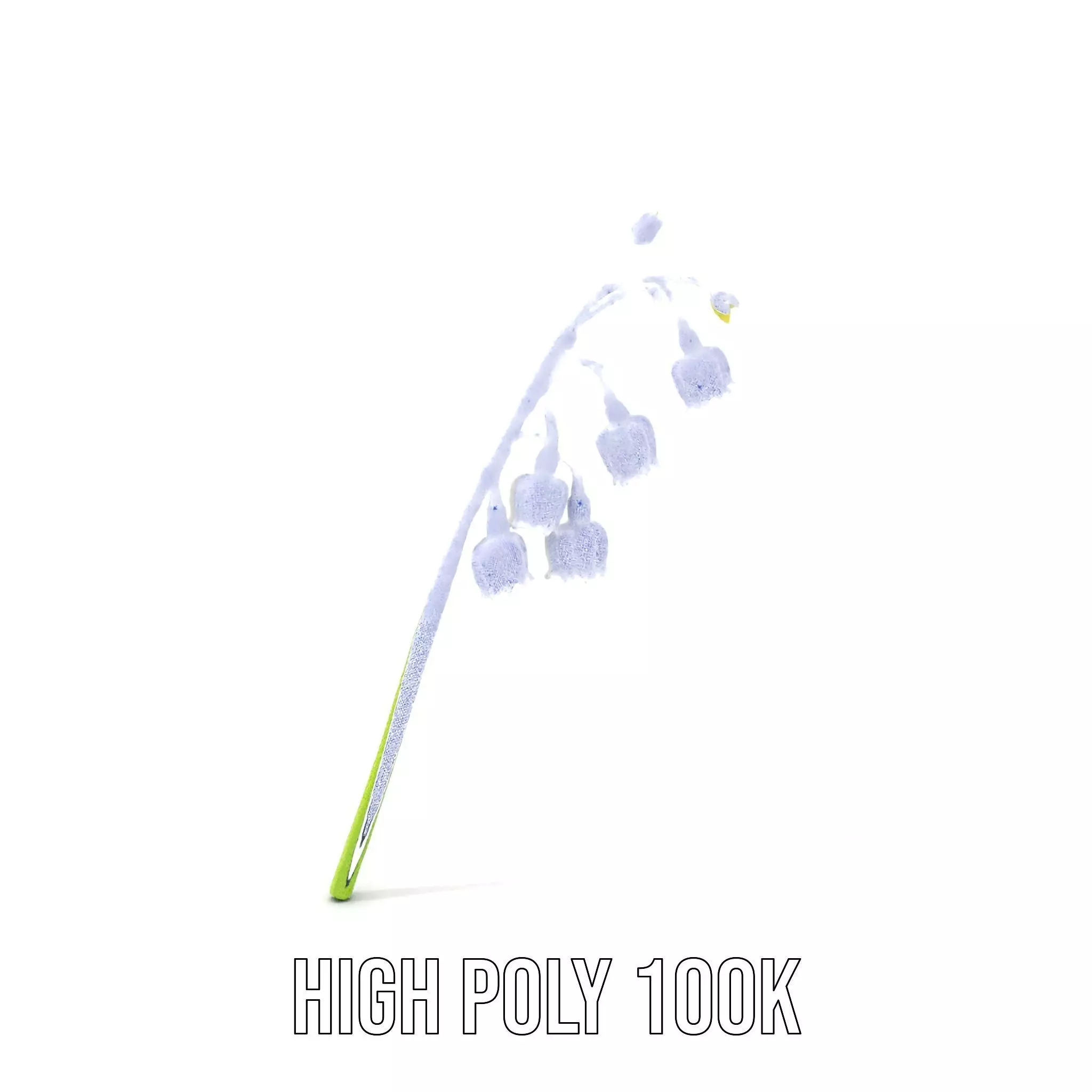 White Lily Flower model pack Low-poly 3D model_5