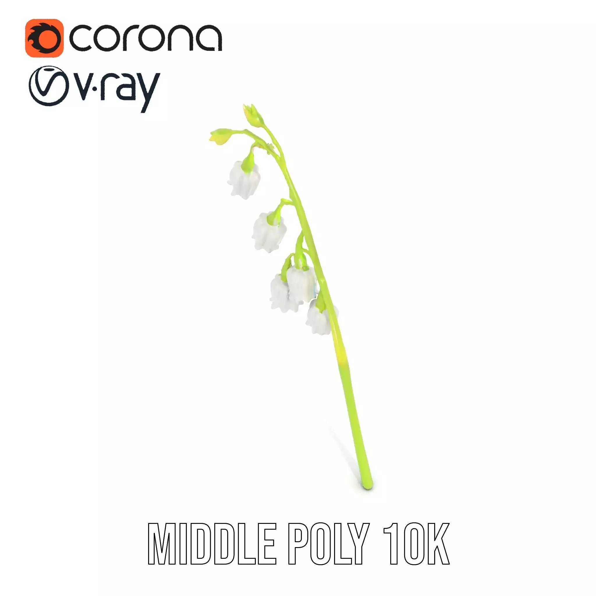 White Lily Flower model pack Low-poly 3D model_16