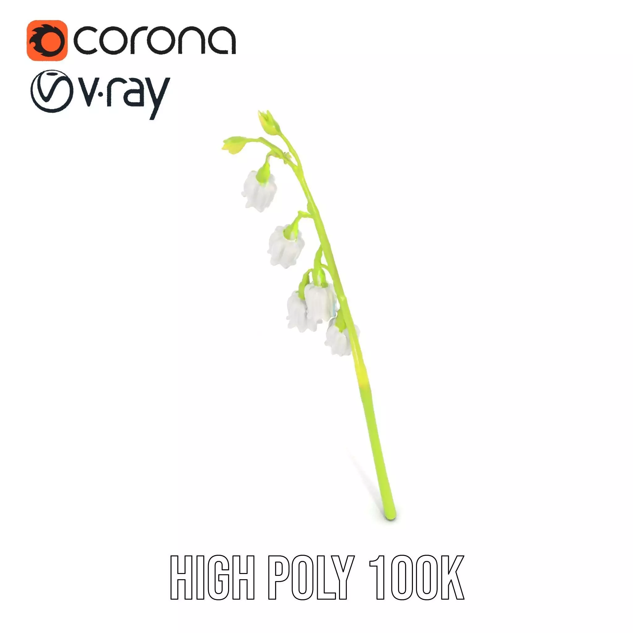 White Lily Flower model pack Low-poly 3D model_29