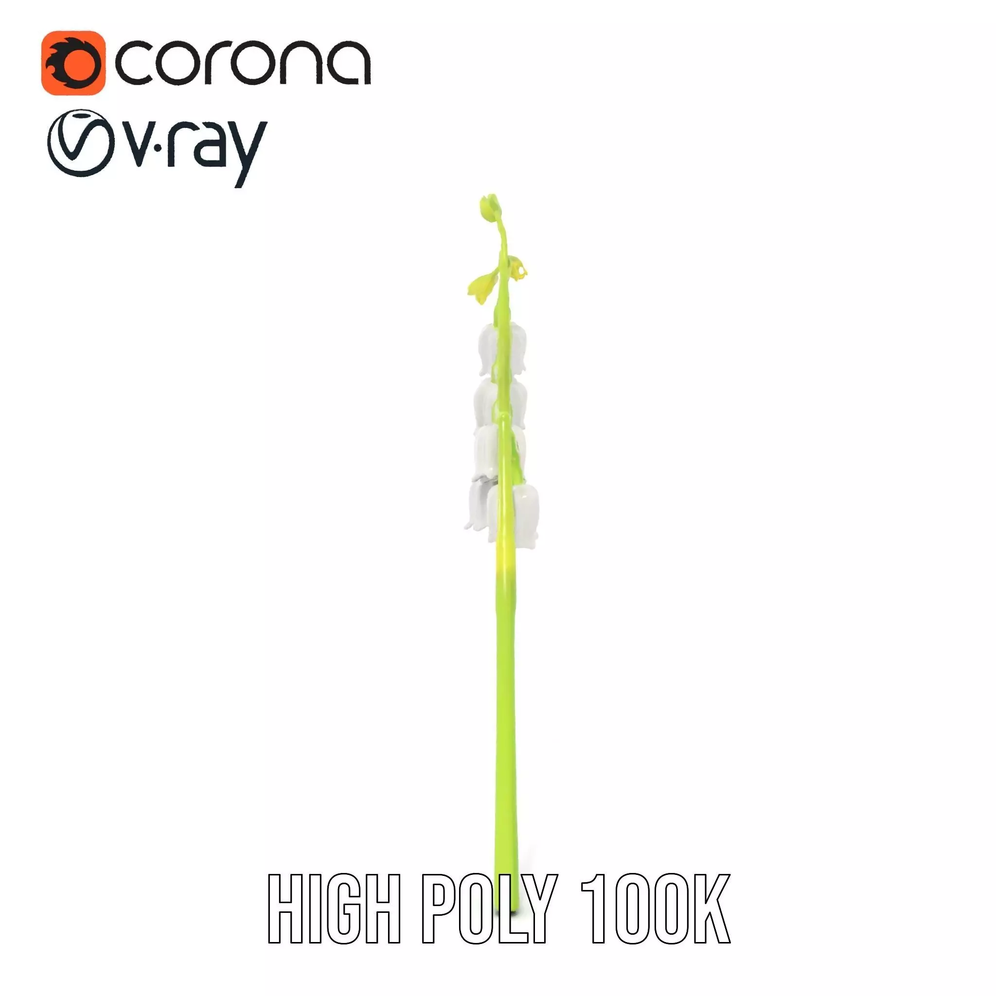 White Lily Flower model pack Low-poly 3D model_26