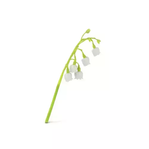 White Lily Flower model pack