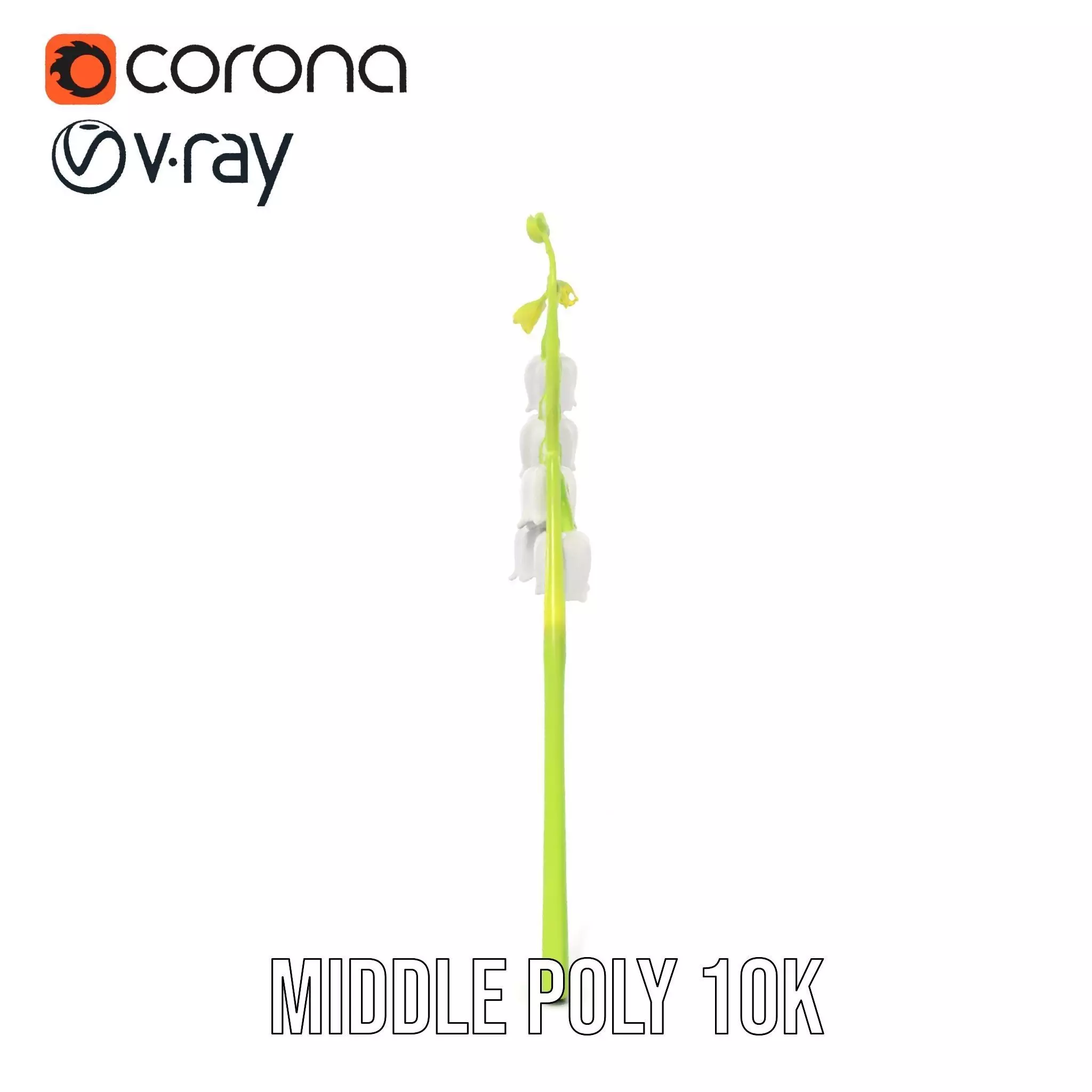 White Lily Flower model pack Low-poly 3D model_19