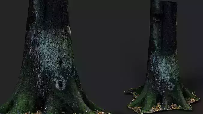 tree oak mossy stump PBR photogrammetry