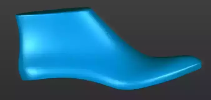 shoe last 3d printable 3D print model shoe last 3d printable 3D print model