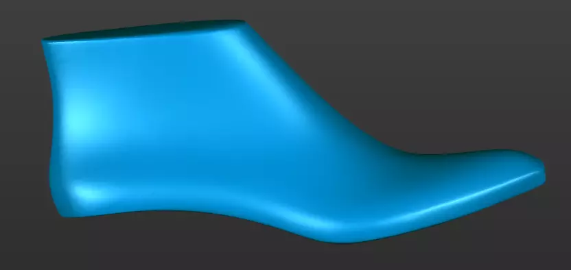 shoe last 3d printable 3D print model_0