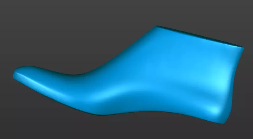 shoe last 3d printable 3D print model_2