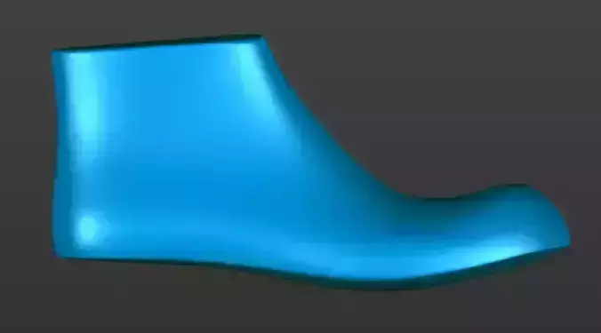 shoe last 3d printable 3D print model
