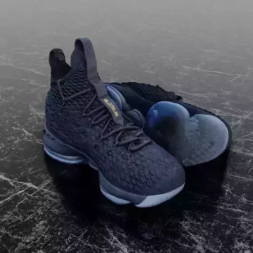 NIKE LEBRON 15 XV 3D SHOES