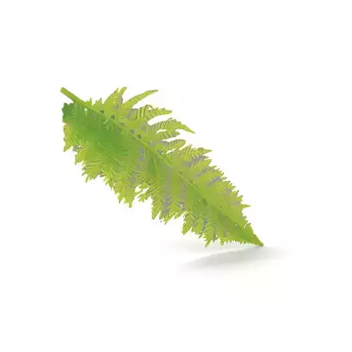 Vibrant Fern Leaf model pack