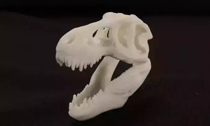 T-Rex Skul