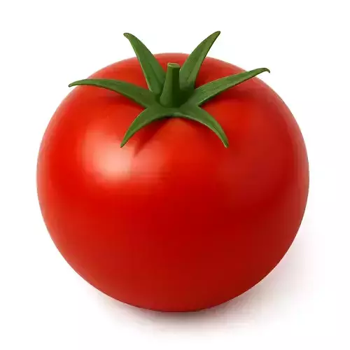 TOMATO 3d models 