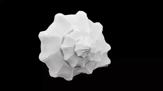 Spiral Seashell 3D print model