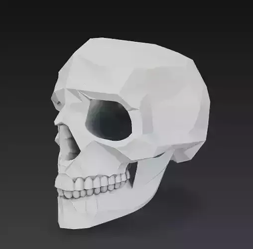 Polygonal Human Skull Bust 3D Model Geometry Sculpture Free 3D print model